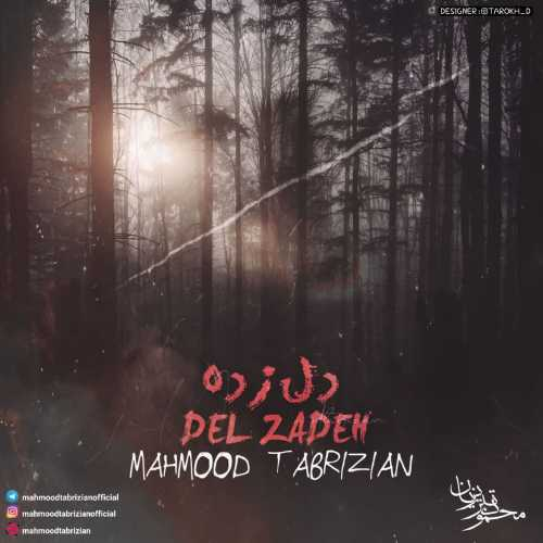 محمود تبریزیان دل زده
